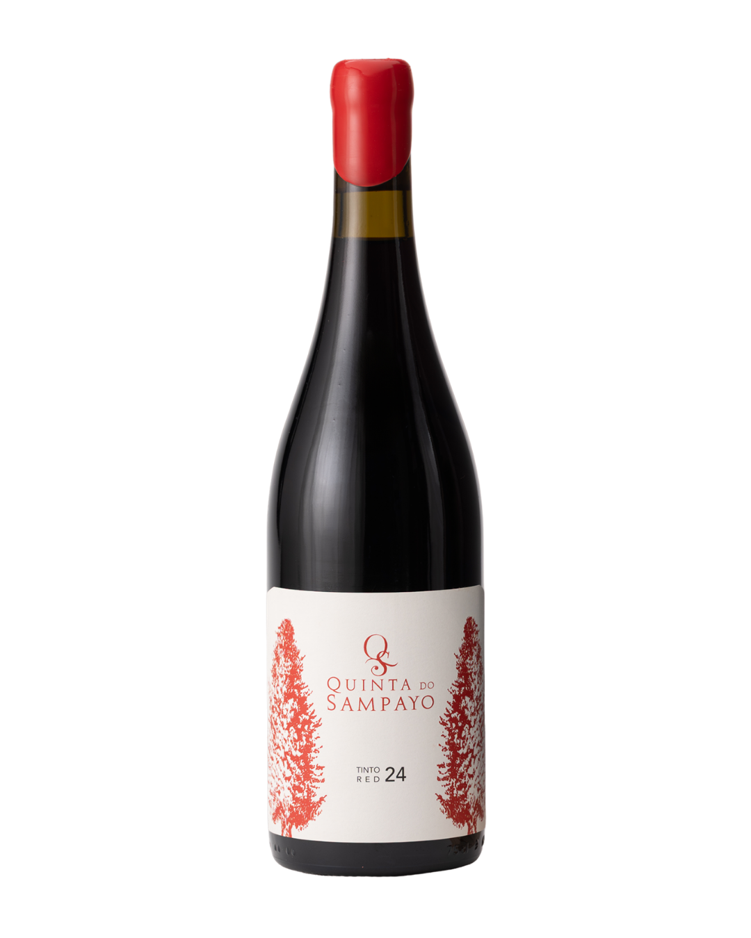 TINTO 24