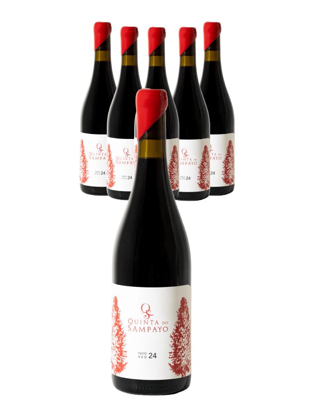 Caixa Quinta do Sampayo Colheita 2024 Tinto