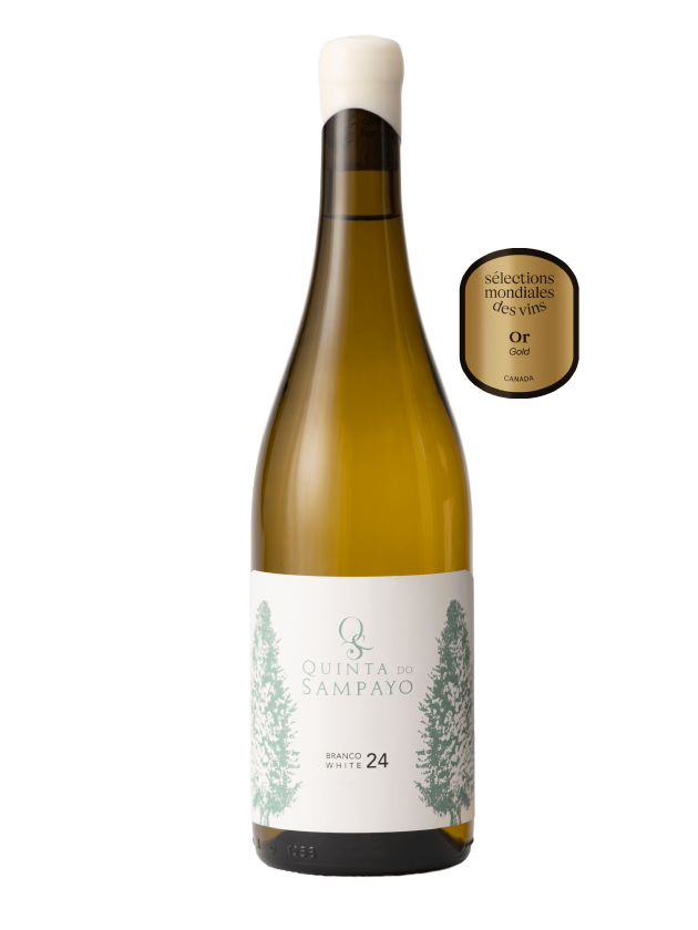 Quinta do Sampayo Colheita 2024 Branco